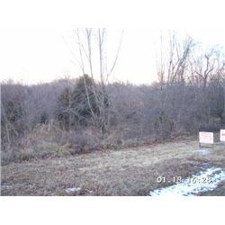 Developmental Building Lot