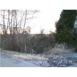 Developmental Building Lot