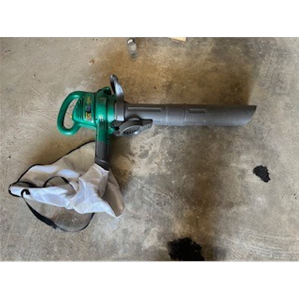 Leaf blower - electric