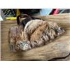 Image 1 : fur hat