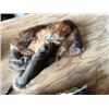 Image 1 : fur hat