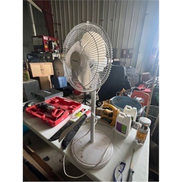 fan