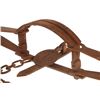 Image 9 : Duke Large No. 16 Bear Trap D Double Spring