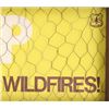 Image 6 : U.S. Forest Service Smokey Prevent Wildfire Sign
