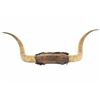 Image 11 : Texas Longhorn Steer Hide Wrapped Wall Mount