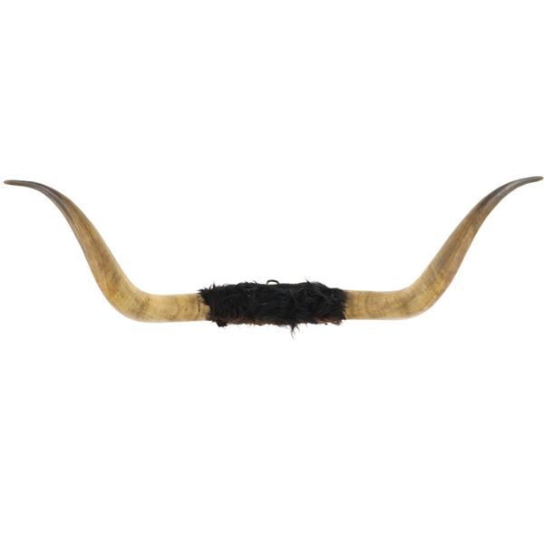 Texas Longhorn Steer Hide Wrapped Wall Mount