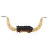 Image 6 : Texas Longhorn Steer Hide Wrapped Wall Mount