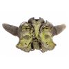 Image 11 : Fossilized MT Occidentalis Bison Skull w/ Painting
