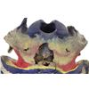 Image 7 : Fossilized MT Occidentalis Bison Skull w/ Painting