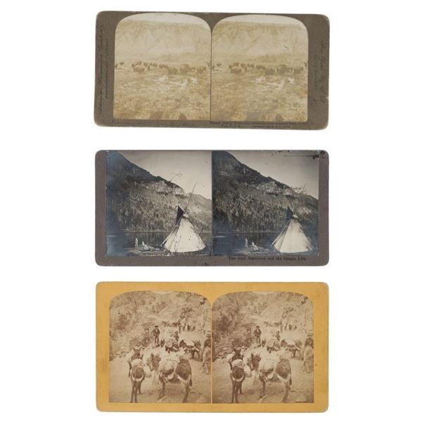 Stereoview Photos From Various Publishers 1901-11