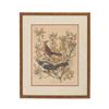 Image 1 : J.J. Audubon "Boat-Tailed Grackle" Colored Litho