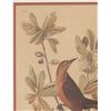 Image 3 : J.J. Audubon "Boat-Tailed Grackle" Colored Litho