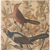 Image 7 : J.J. Audubon "Boat-Tailed Grackle" Colored Litho