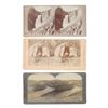 Image 5 : Yellowstone Park & Native American Stereoview's