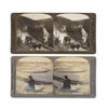 Image 7 : Yellowstone Park & Native American Stereoview's
