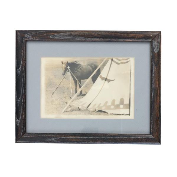 Blackfoot Bay Mare and Otter Tipi Photo ca. 1910