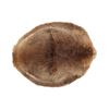 Image 1 : Large Beautiful Tanned Beaver Hide