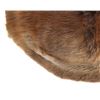 Image 3 : Large Beautiful Tanned Beaver Hide