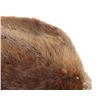Image 5 : Large Beautiful Tanned Beaver Hide