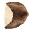 Image 7 : Large Beautiful Tanned Beaver Hide