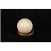 Image 8 : Solid Ivory Decorative or Billiard Balls 19th C.