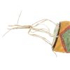 Image 6 : Blackfeet Elliptical Polychrome Parfleche Case