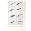 Image 10 : C. 1940's How To Tie Flies by E.C. Gregg