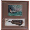 Image 1 : Rick Morkel Pheasant Photo & Painted Feather