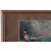 Image 2 : Rick Morkel Pheasant Photo & Painted Feather