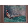 Image 6 : Rick Morkel Pheasant Photo & Painted Feather