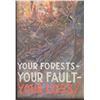 Image 6 : U.S. Forest Service "Your Forest.." Print 1930-40s