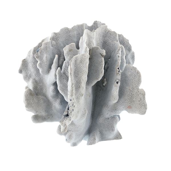 Vintage Blue Grayish Reef Petrified Coral Specimen