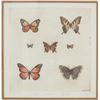 Image 2 : Sandy Scott "Butterflies I" Etching 1970-90s
