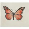 Image 5 : Sandy Scott "Butterflies I" Etching 1970-90s