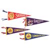 Image 2 : MT, WY & Yellowstone Nat'l Park Pennant Flags (14)