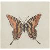 Image 5 : Sandy Scott Limited Ed. Butterfly Etching 1970-90s