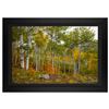 Image 1 : Jongas "Colorado Garden" Limited Edition Giclee on Canvas