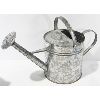 Image 1 : GALVANIZED WATERING CAN