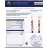 Image 4 : 5.16 ctw Multi-Color Sapphire 14K Yellow Gold Earrings