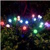 Image 4 : NEW SOLAR FIREFLIES 10 COLORED LIGHTS-PACK OF TWO