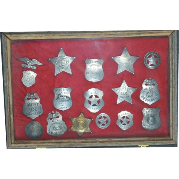 shadow box with 16 badges
