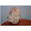 Image 2 : 16" FISH SCULPTURE