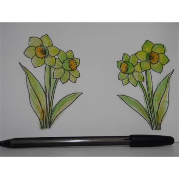 This is 5738 - Ceci est 3738