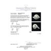 Image 5 : 14KT White Gold 2.24 ctw Diamond Ring