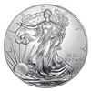 Image 3 : [20] 2005 Silver Eagle