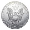 Image 4 : [20] 2005 Silver Eagle