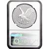 Image 2 : 2021-S Type 2 Silver Eagle NGC PF69 Ultra Cameo