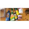 Image 2 : ASSORTED AUTOMOTIVE CLEANING SUPPLIES AND MISC