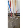 Image 3 : ASSORTED MOPS AND BROOMS