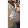 Image 3 : HANDI CAP BATH TUB SAFETY RAIL